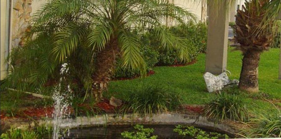 Budget Inn Of Winter Haven Bagian luar foto